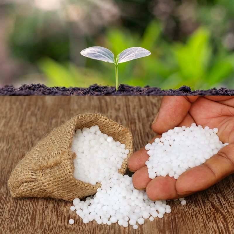 Urea