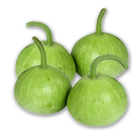 F1 Hybrid Ghia Kaddu / Gol Kaddu (Gourd) 10 Seeds