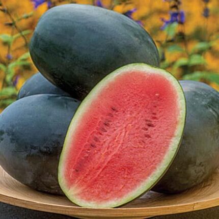 F1 Hybrid Long Watermelon 10 Seeds
