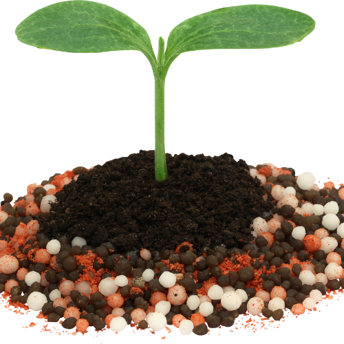 Fertilizers