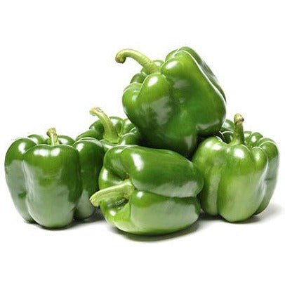 Green Capsicum (شملہ مرچ) 25 Seeds