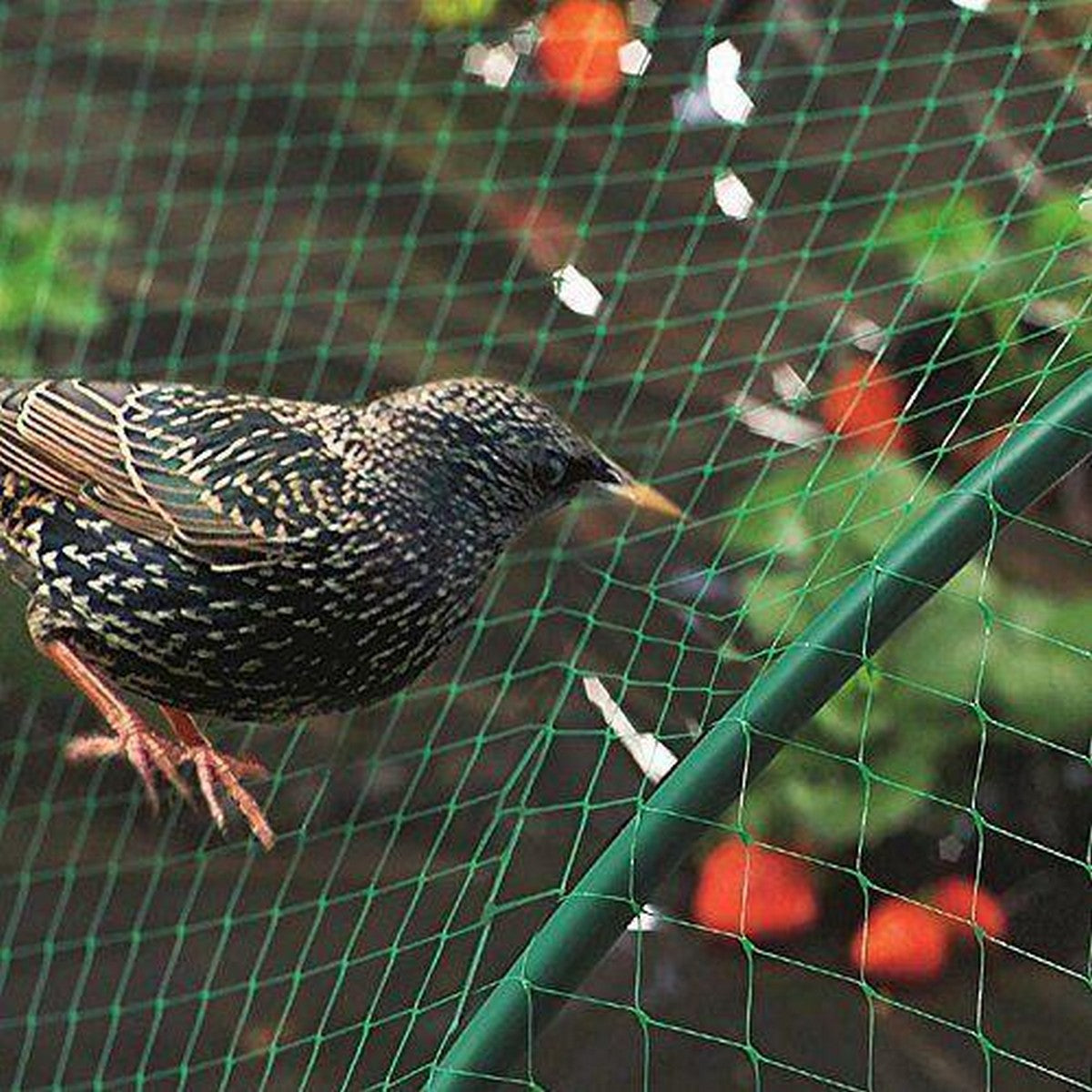Anti Bird Net -Nylon Netting (6feet by 30 Feet)