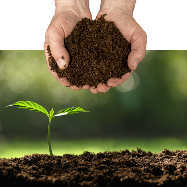 Vermi Compost - Pure Organic Premium Compost