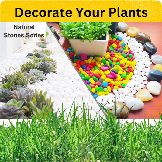 Colorful Stones For Plants Decoration & Aquarium