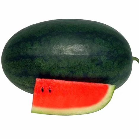F1 Hybrid Long Watermelon 10 Seeds