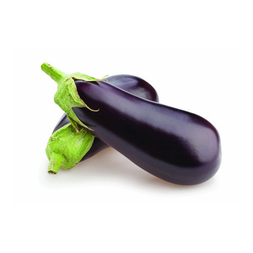 F1 Hybrid Bottle Brinjal (Bengan) 25 Seeds