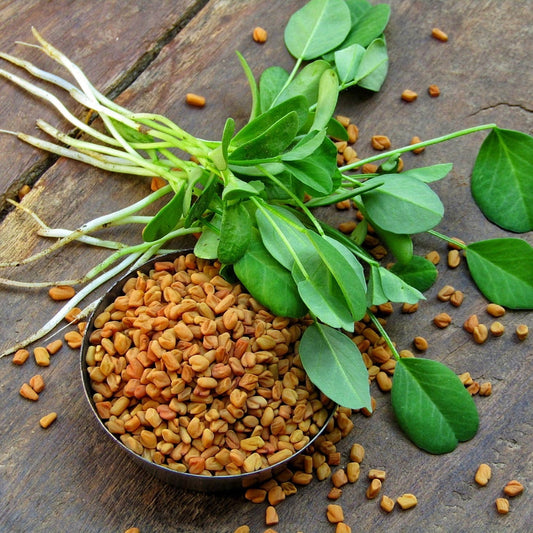 Methray (میتھرے) 500 + Seeds